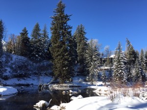 Hallam lake at ACES in Aspen