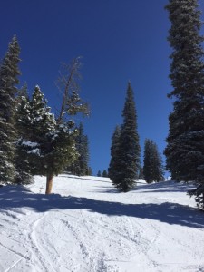 Aspen Mountain 